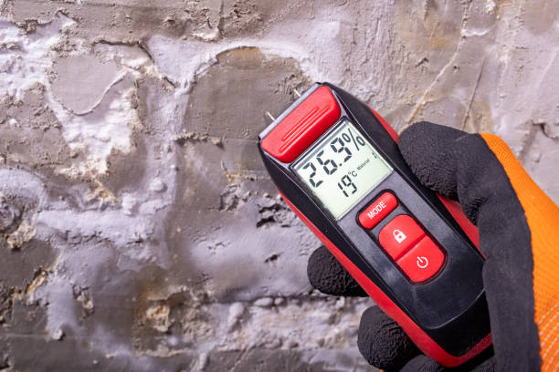 Best Mold Removal Process  in Orange Blossom, CA