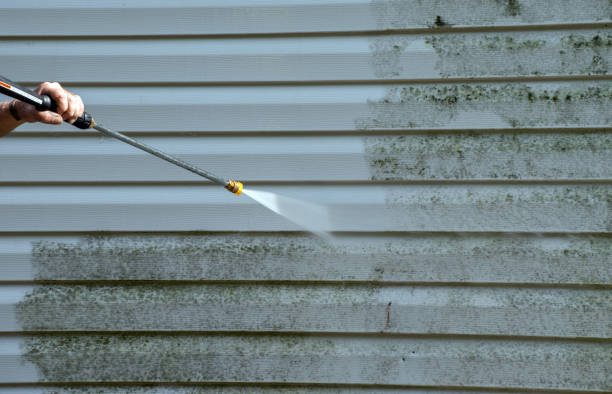 Best Attic Mold Removal  in Orange Blossom, CA