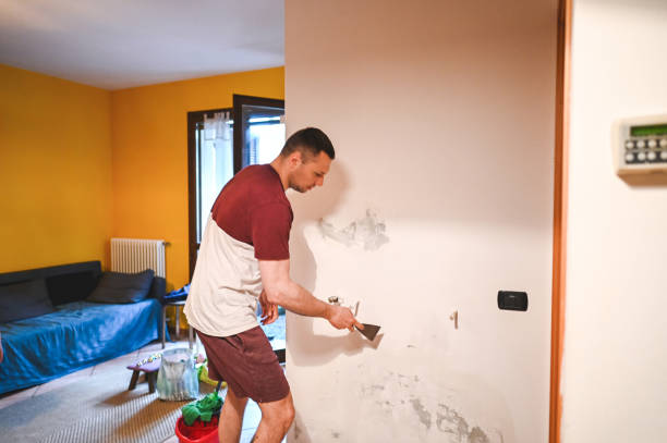 Best Office Mold Removal Services  in Orange Blossom, CA