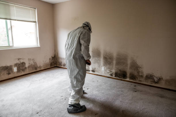 Water Damage Restoration in Orange Blossom, CA